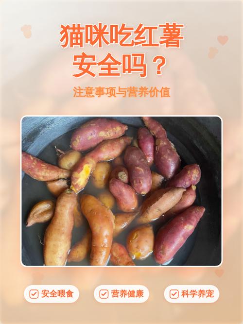 红薯能喂猫吗?适量有益助消化!(猫能不能吃山芋) 红薯能喂猫吗?适量有益助消化!(猫能不能吃山芋)
