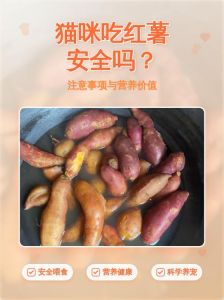 红薯能喂猫吗？适量有益助消化！（猫能不能吃山芋）