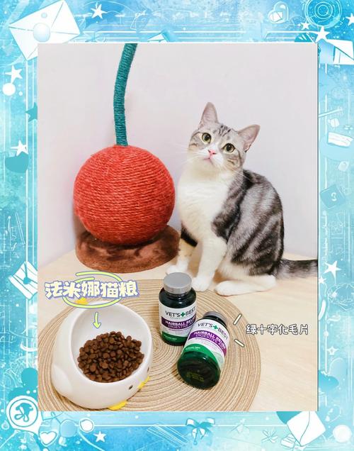 温和化毛,呵护爱猫健康(4个月短毛猫有必要吃化毛片吗) 温和化毛,呵护爱猫健康(4个月短毛猫有必要吃化毛片吗)