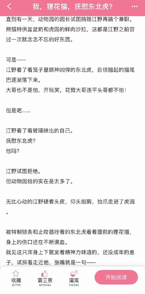美食诱惑安抚小老虎（狸花猫安慰东北虎txt）