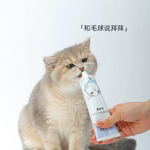 短毛猫需化毛膏?梳毛猫草是王道!(短毛猫要吃化毛膏吗) 短毛猫需化毛膏?梳毛猫草是王道!(短毛猫要吃化毛膏吗)