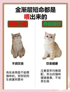 红薯适量喂猫好，助消化补营养，但要注意控制量（猫咪吃红薯的好处和坏处）