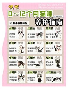 照顾好你的美丽长毛伙伴（波斯猫豢养手册全文）