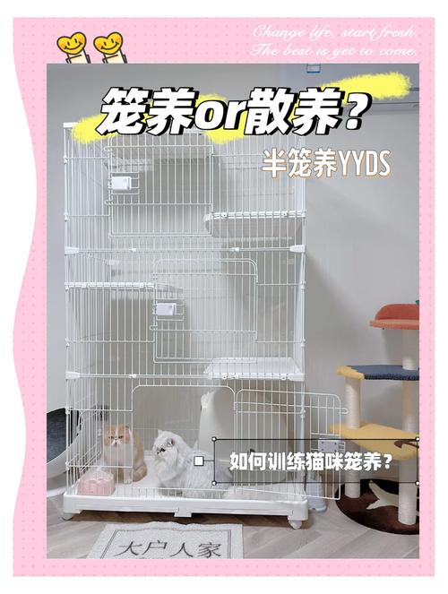长期笼养伤猫咪身心,别让爱宠失去自由!(笼养猫咪的好处坏处) 长期笼养伤猫咪身心,别让爱宠失去自由!(笼养猫咪的好处坏处)