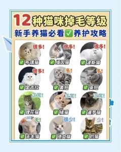 猫咪春秋掉毛多，勤梳补营养（猫咪几月份掉毛最厉害）
