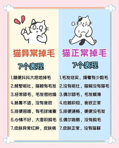 猫咪掉毛怎么办?科学护理来搞定!(猫掉毛最好的解决办法是什么) 猫咪掉毛怎么办?科学护理来搞定!(猫掉毛最好的解决办法是什么)