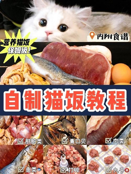 布偶猫成长快,自制猫饭营养好,心脏瘦肉来搭配(三个月布偶猫自制猫饭配方) 布偶猫成长快,自制猫饭营养好,心脏瘦肉来搭配(三个月布偶猫自制猫饭配方)