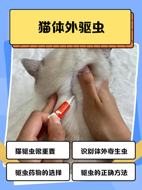 物理+科技,安心赶走猫咪(长期驱猫最有效的方法) 物理+科技,安心赶走猫咪(长期驱猫最有效的方法)