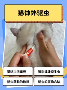 物理+科技，安心赶走猫咪（长期驱猫最有效的方法）
