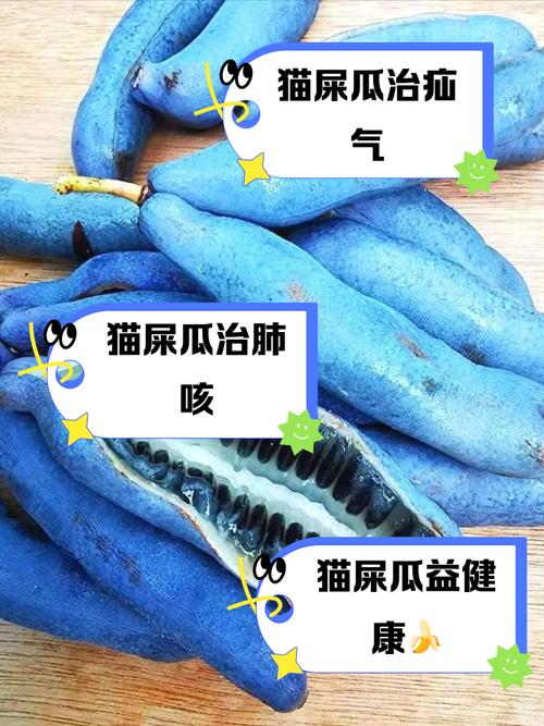红薯可喂猫助消化,但需适量防胀气腹泻(猫吃红薯好处和坏处) 红薯可喂猫助消化,但需适量防胀气腹泻(猫吃红薯好处和坏处)