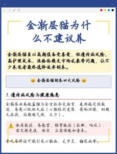 金渐层猫健康问题多，养它需谨慎！（金渐层猫为什么不建议养）