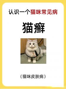 猫癣剃毛好还是不好？需谨慎！（猫癣需要剃毛么）