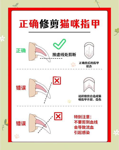 选对电动剃刀,小心给猫剃毛(怎么用剃刀给猫剃毛) 选对电动剃刀,小心给猫剃毛(怎么用剃刀给猫剃毛)