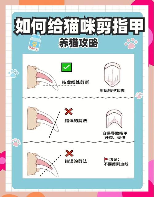 20分钟狮子造型,头颈保留保美观(给猫剪毛最简单方法) 20分钟狮子造型,头颈保留保美观(给猫剪毛最简单方法)