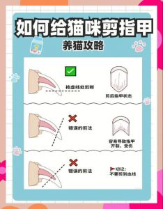 20分钟狮子造型，头颈保留保美观（给猫剪毛最简单方法）
