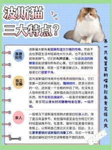 环境要求高易打结多病成本高（波斯猫为什么不建议养）