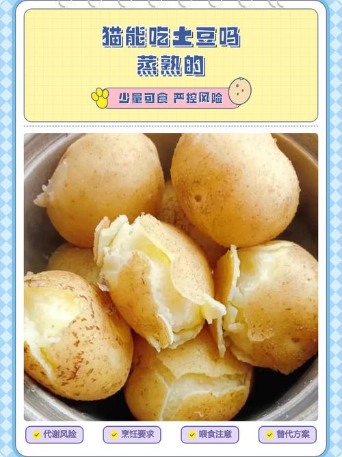 蒸红薯可喂猫,但量要少且蒸烂去皮(猫能吃番薯吗蒸熟的) 蒸红薯可喂猫,但量要少且蒸烂去皮(猫能吃番薯吗蒸熟的)
