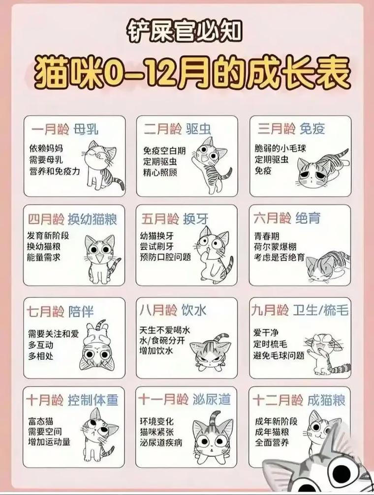 猫咪换毛两次,春季秋季掉毛多,如何护理?(猫一年换几次毛) 猫咪换毛两次,春季秋季掉毛多,如何护理?(猫一年换几次毛)