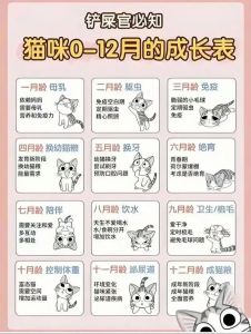 猫咪换毛两次，春季秋季掉毛多，如何护理？（猫一年换几次毛）
