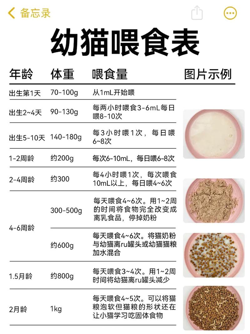 满足猫咪狩猎本能,辅助训练零食(猫条的正确喂法) 满足猫咪狩猎本能,辅助训练零食(猫条的正确喂法)