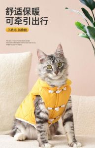 冷了？给猫咪穿上时尚保暖衣！（十大最漂亮的猫猫衣服）