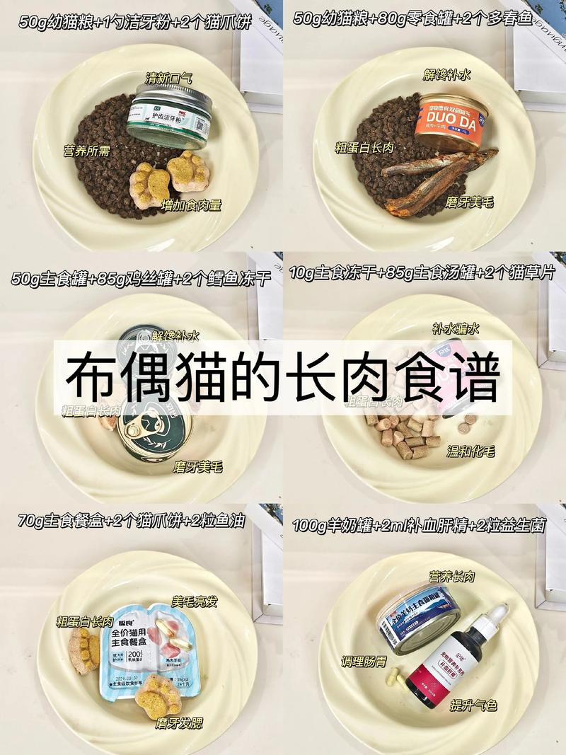 布偶猫毛发亮泽的饮食秘诀(布偶猫营养餐有哪些) 布偶猫毛发亮泽的饮食秘诀(布偶猫营养餐有哪些)