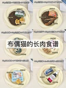 布偶猫毛发亮泽的饮食秘诀（布偶猫营养餐有哪些）
