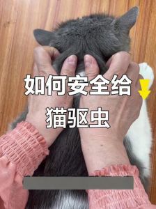 柠檬橘皮赶走猫，醋水喷洒也有效（有什么东西驱猫效果最简单方法）
