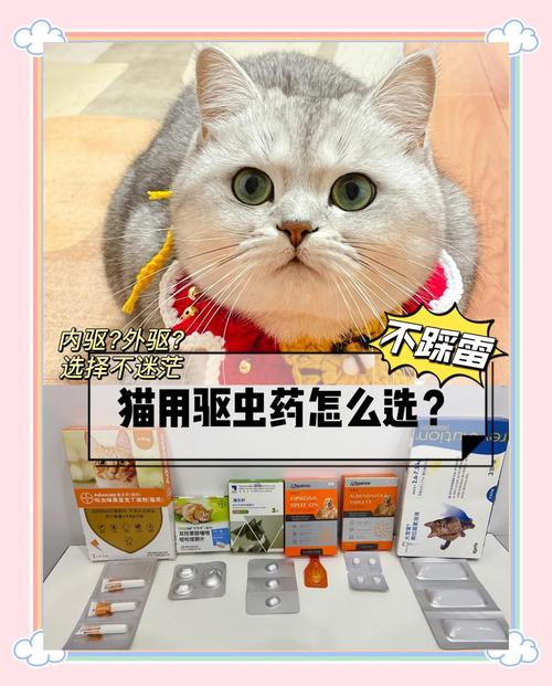 给猫驱虫正确方法,别剃毛,注意滴药位置和频率(给猫外驱需要剃毛么) 给猫驱虫正确方法,别剃毛,注意滴药位置和频率(给猫外驱需要剃毛么)