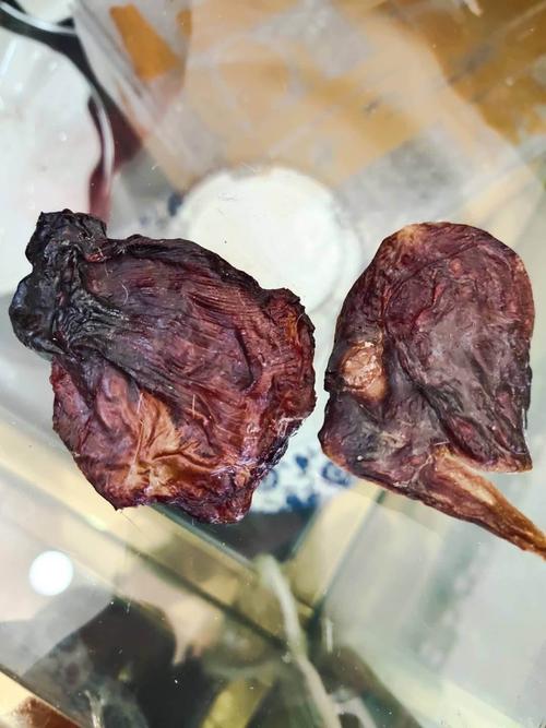 母猫吃胎盘恢复快,春秋吃最好,人吃要注意卫生!(猫胎盘什么季节吃最好) 母猫吃胎盘恢复快,春秋吃最好,人吃要注意卫生!(猫胎盘什么季节吃最好)