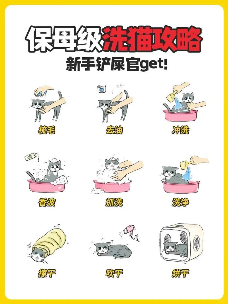 猫咪洗澡多久一次?(猫多久洗一次澡) 猫咪洗澡多久一次?(猫多久洗一次澡)