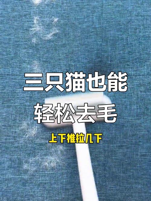 科学梳毛控猫毛,环境清洁勤维护(怎么清理猫毛最干净) 科学梳毛控猫毛,环境清洁勤维护(怎么清理猫毛最干净)