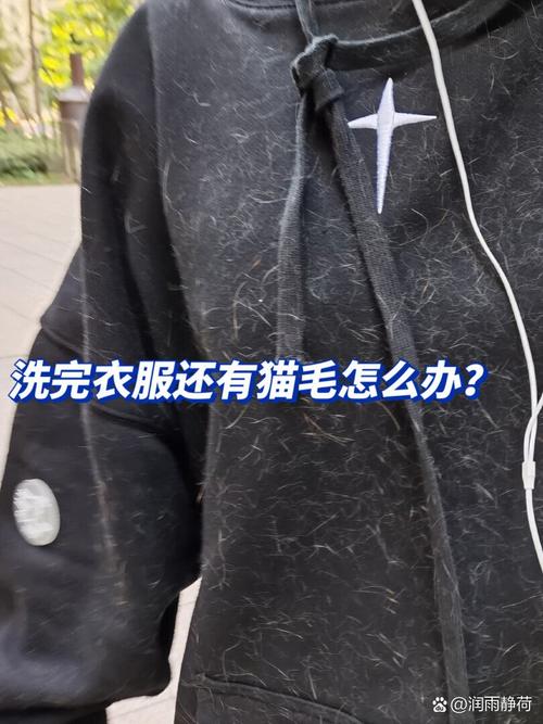 吸尘梳毛除猫毛,保持家居干净利落(猫毛怎么处理干净) 吸尘梳毛除猫毛,保持家居干净利落(猫毛怎么处理干净)