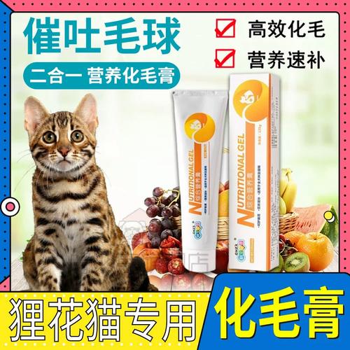 狸花猫毛长易吐球,勤梳猫草调饮食(狸花猫需要吃化毛膏) 狸花猫毛长易吐球,勤梳猫草调饮食(狸花猫需要吃化毛膏)