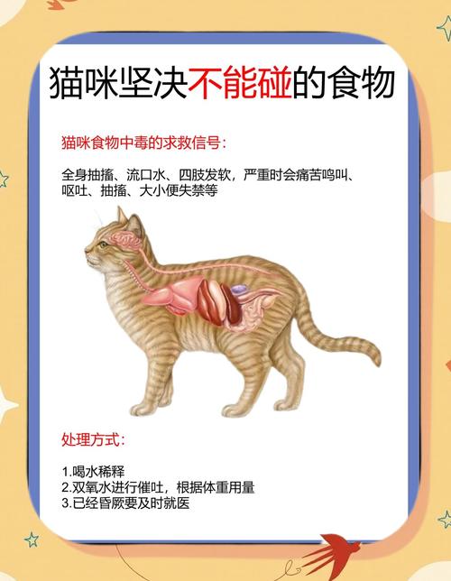 忌牛奶洋葱葡萄,宜科学喂养猫粮(小猫不能吃什么食物) 忌牛奶洋葱葡萄,宜科学喂养猫粮(小猫不能吃什么食物)