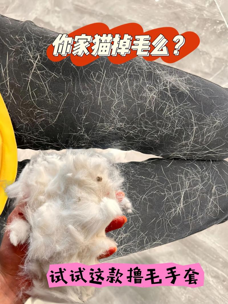 猫咪掉毛多?梳毛补营养来搞定!(猫掉毛最好的解决办法) 猫咪掉毛多?梳毛补营养来搞定!(猫掉毛最好的解决办法)