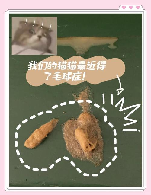 猫咪毛球卡肠道要当心,梳毛喂化毛膏助排出(猫肚子里的毛球排不出去咋办) 猫咪毛球卡肠道要当心,梳毛喂化毛膏助排出(猫肚子里的毛球排不出去咋办)