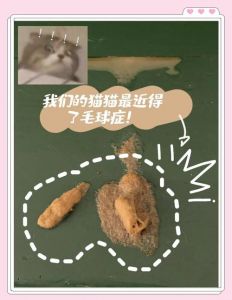 猫咪毛球卡肠道要当心，梳毛喂化毛膏助排出（猫肚子里的毛球排不出去咋办）