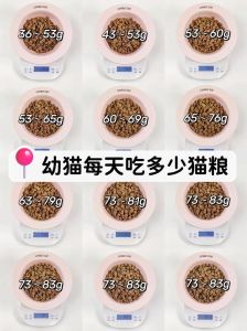 红薯可作猫零食助消化，勿过量（猫吃红薯的量是多少）