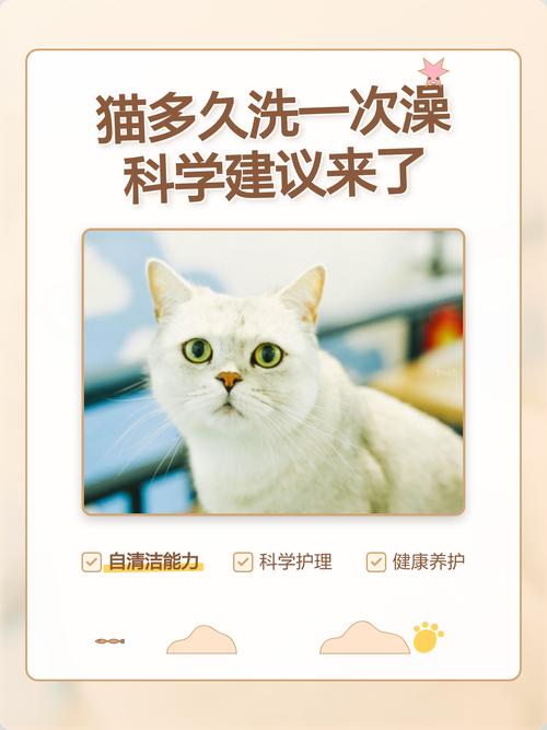 猫咪洗澡频率因猫而异,无需太频繁(猫猫几天洗一次澡) 猫咪洗澡频率因猫而异,无需太频繁(猫猫几天洗一次澡)
