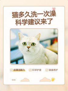 猫咪洗澡频率因猫而异，无需太频繁（猫猫几天洗一次澡）