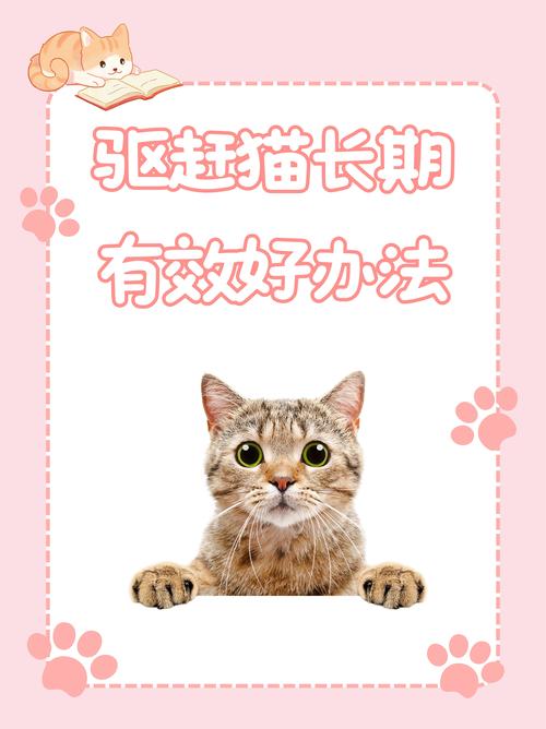 多种方法驱赶猫，物理声音双重干扰（驱猫最好的办法）