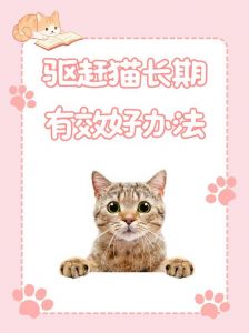 多种方法驱赶猫，物理声音双重干扰（驱猫最好的办法）