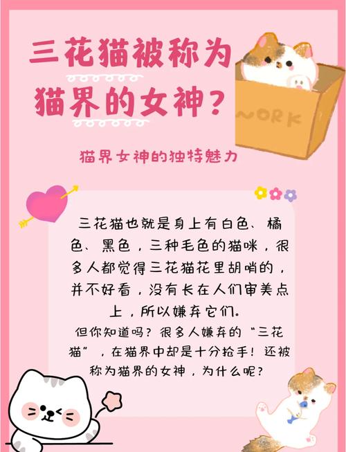 独特拼色美,性格也甜美!(三花猫为什么是猫界美女) 独特拼色美,性格也甜美!(三花猫为什么是猫界美女)