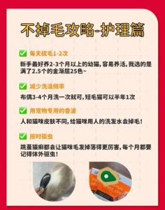 猫咪掉毛多？季节正常，异常需看医生！（猫咪掉毛是什么原因）