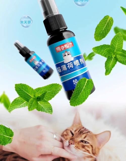 猫罐头小零食逗猫棒!(什么东西诱猫最快) 猫罐头小零食逗猫棒!(什么东西诱猫最快)