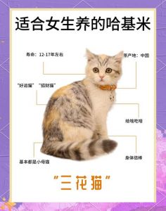 颜值随机叫人烦开销大难亲近（三花猫为啥不建议养）