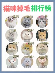 猫咪换季掉毛多？营养压力都可能导致，看这里！（猫咪啥时候换毛）