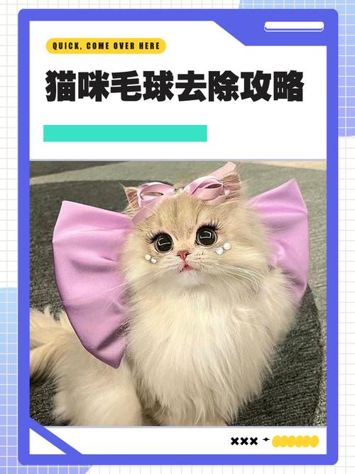 猫咪掉毛多？梳毛吃猫草，预防毛球烦恼（猫咪舔毛多久去毛球）