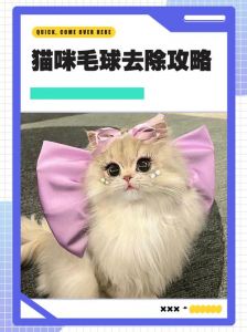猫咪掉毛多？梳毛吃猫草，预防毛球烦恼（猫咪舔毛多久去毛球）